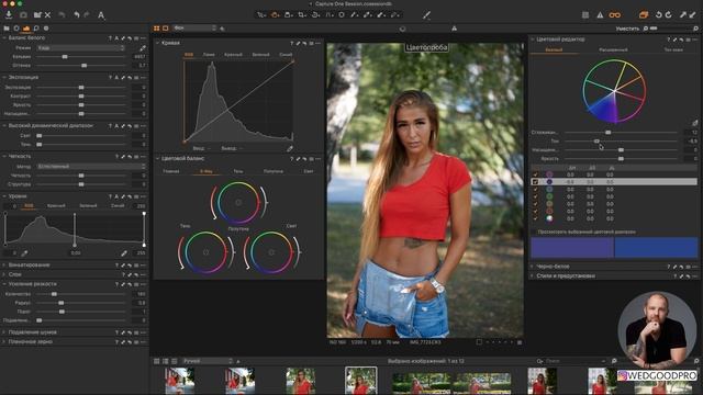 Сравнение Nikon z6 и Canon RP цветопередача смотреть онлайн