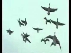 Путешествие с Ветром на крыльях Любви