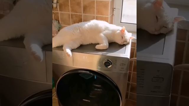 Массажное кресло смотреть онлайн