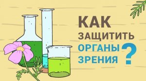 Как защитить органы зрения. Организм человека. Нескучная анатомия.