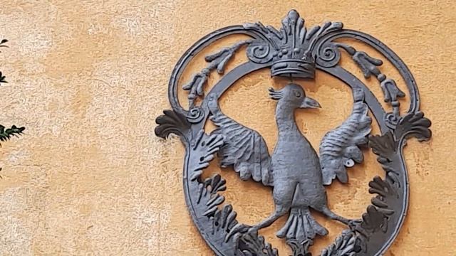 Сад с лабиринтами и восьмиугольником в центре смотреть онлайн