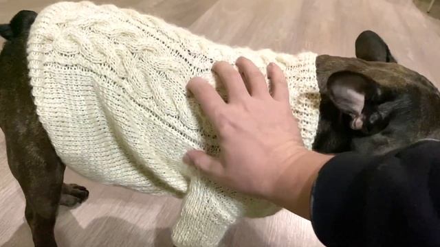 Крымские подарки МАСЕ от НАТАЛЬИ большая примерка Французской Булочки! смотреть онлайн