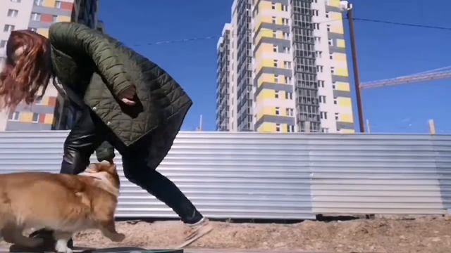 МЫ ХОТИМ ТАНЦЕВАТЬ! ?? смотреть онлайн