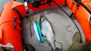 Троллинг симы 2020 год.