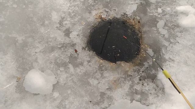 Последняя рыбалка 2021 года. смотреть онлайн