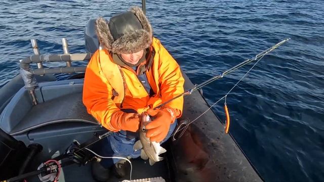 НАЧАЛО МОРСКОЙ РЫБАЛКИ В БАРЕНЦЕВОМ МОРЕ смотреть онлайн
