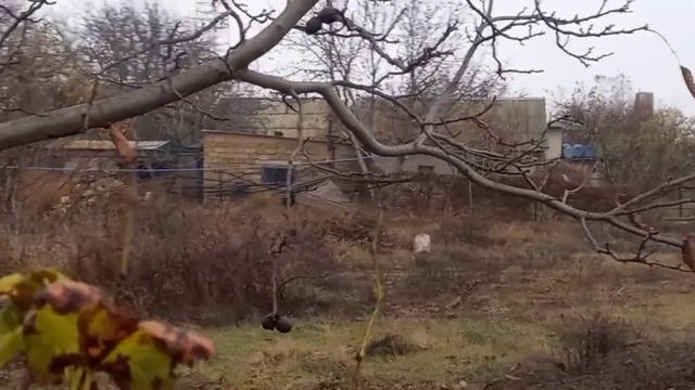 Пять минут выходного дня из села на херсонщине ( Херсонская область) смотреть онлайн