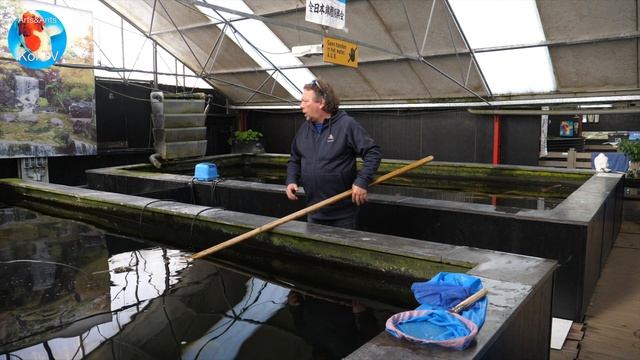 HOW TO BREED KOI PART 1 смотреть онлайн