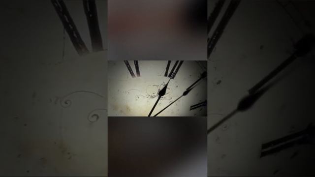 EasyFoam очистка от жира и копоти смотреть онлайн