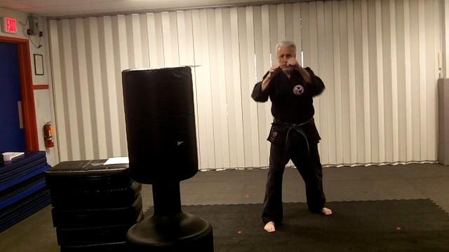 Pace Karate Kids Int Adv video training 4 1 2020 смотреть онлайн