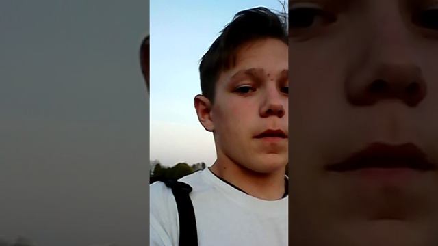 VLOG: простая прогулка с собакой смотреть онлайн