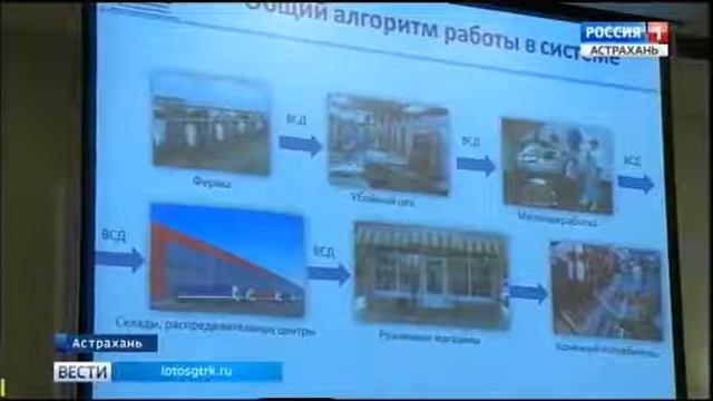 О внедрении обязательной электронной ветеринарной сертификации в Астраханской области смотреть онлайн