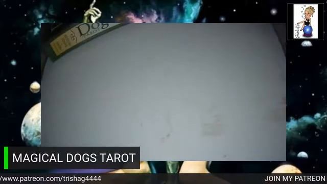 MAGICAL DOGS TAROT REVIEW. смотреть онлайн