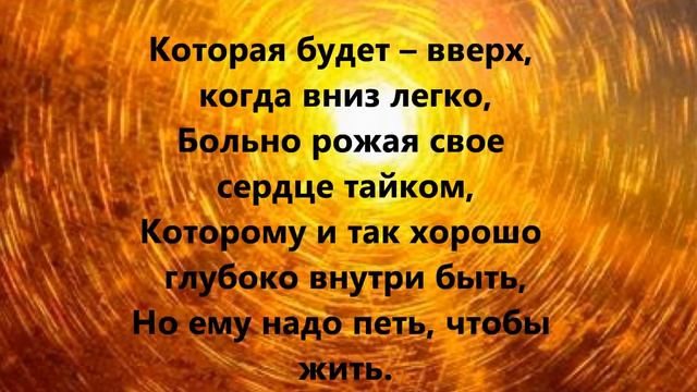 мой "Апельсиновый лотос" смотреть онлайн