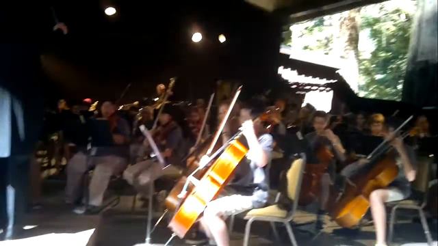 Cazadero Orchestra - Carnival of the Animals - Camille Saint Saens смотреть онлайн