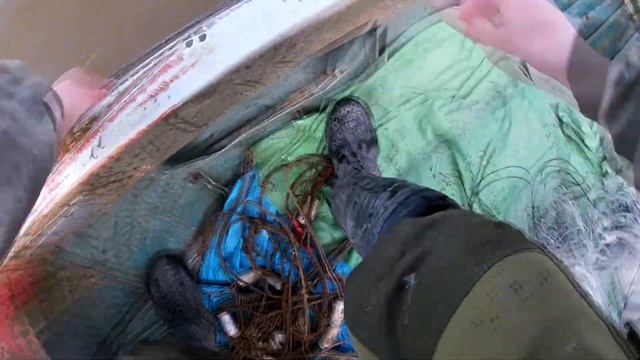 ВОТ ЭТО УЛОВ! ПОЙМАЛ БЕНЗОПИЛУ! Рыбалка сетями на реке Амур. смотреть онлайн