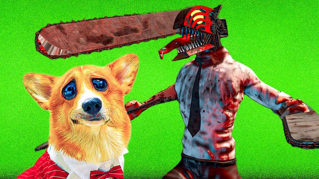 ЧЕЛОВЕК БЕНЗОПИЛА ПРИШЕЛ К НАМ за ПОМОЩЬЮ! Корги Коржик Говорящая собака смотреть онлайн