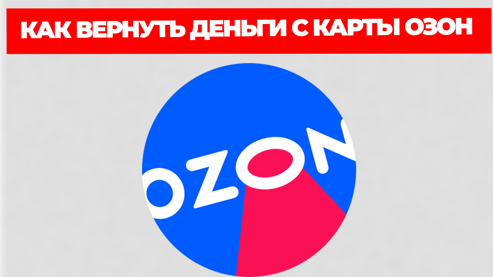 Всезнающий Енот