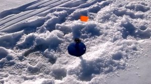 Тест китайской кормушки с сеткой зимой рыбалка в глухозимье 2018