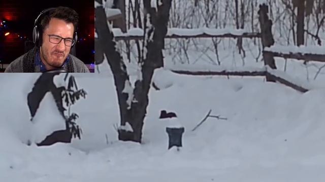 Try Not To Laugh Challenge #12 смотреть онлайн