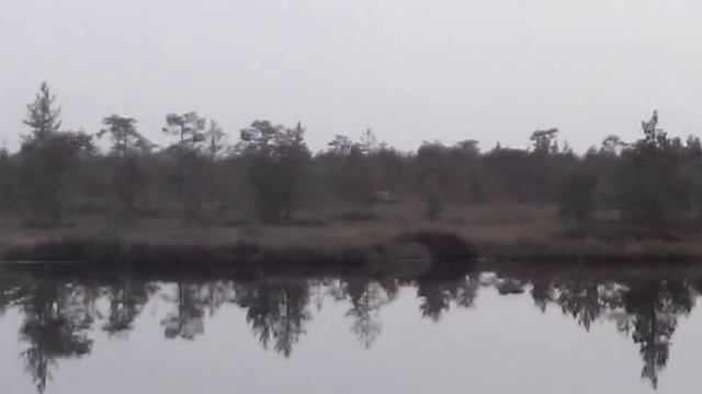 Вездеход монстро на болоте смотреть онлайн
