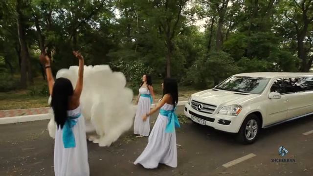 Видео одесса (back)