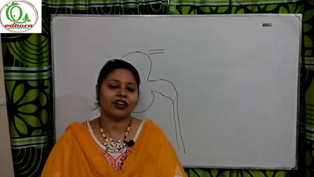 রেনাল সিস্টেমঃকিডনির কাজ(Renal system: Function of kidney) смотреть онлайн