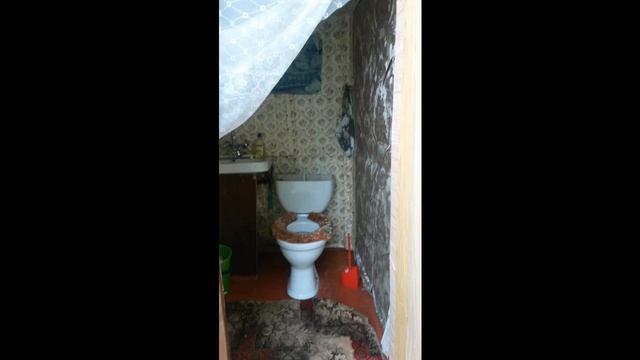Дача в сосновом лесу. смотреть онлайн