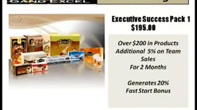 Fund Raising with Gano Excel смотреть онлайн