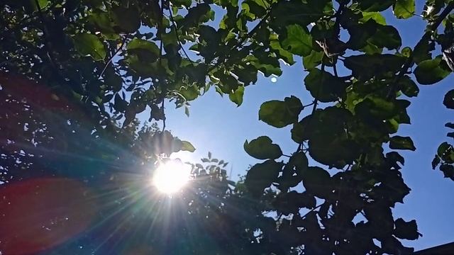 Челлендж «покажи свое небо» от Лилии, автора канала Лилия Токарская. Вышивка в удовольствие смотреть онлайн