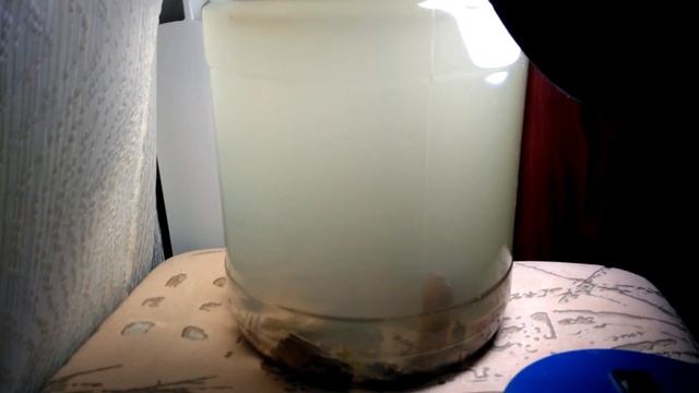 Разведение инфузории на банане смотреть онлайн