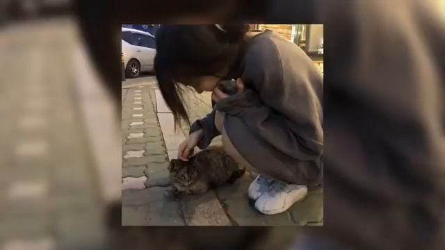 Miyagi "люби меня" песня для танцев,уборки смотреть онлайн