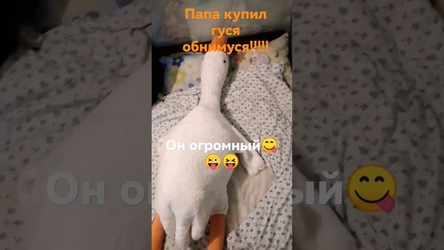 Гусь обнимусь смотреть онлайн