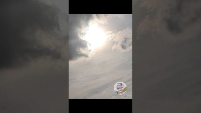 Поездка 04.11.23 смотреть онлайн