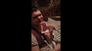 Собака целовака