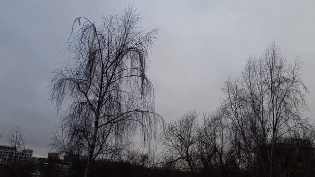 Прогноз снег там где нет волшебника с 2 24 12 17 смотреть онлайн