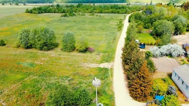 АИСТЫ  ПРИЛЕТЕЛИ.  АИСТ НА КРЫШЕ. ПРИМЕТЫ .