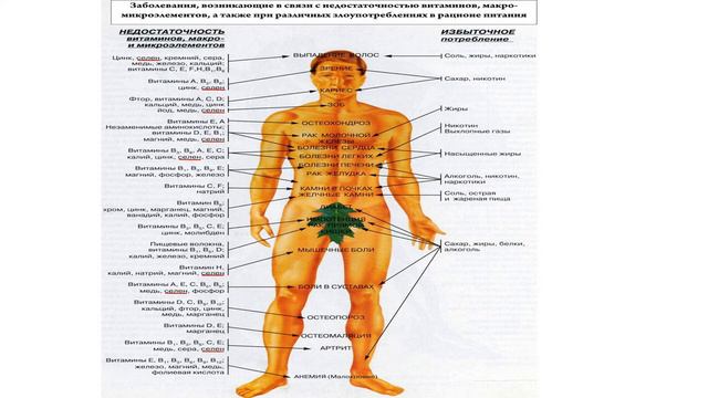 Микро космос. смотреть онлайн