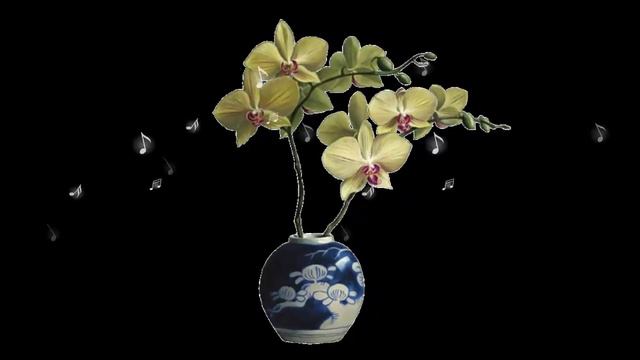 "Orchids" .. (music Nicolas De Angelis) ... ... смотреть онлайн