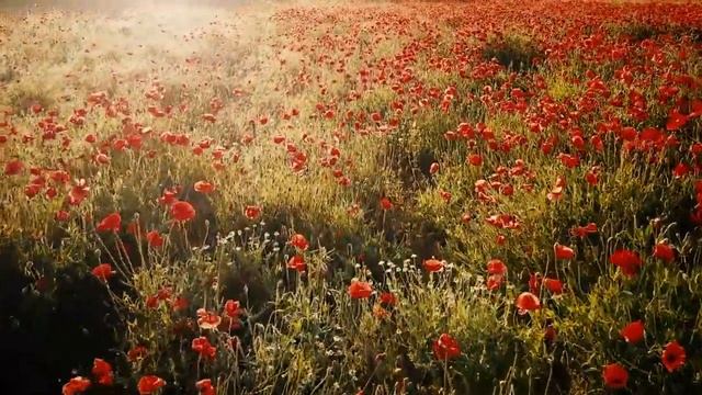 "Я БОЛЬШЕ СМЕРТИ НЕ БОЮСЬ".СТИХ О МИРОЗДАНИИ,О ВЕЧНОСТИ,С ТОНКИМ,ГЛУБОКИМ ФИЛОСОФСКИМ СМЫСЛОМ. смотреть онлайн