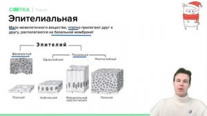 ВСЕ о тканях человека! | ОГЭ БИОЛОГИЯ 2021 | Онлайн-школа СОТКА