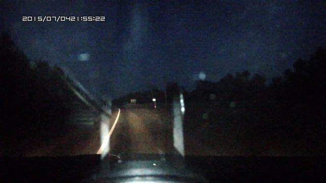 Лосиха и лосенок смотреть онлайн