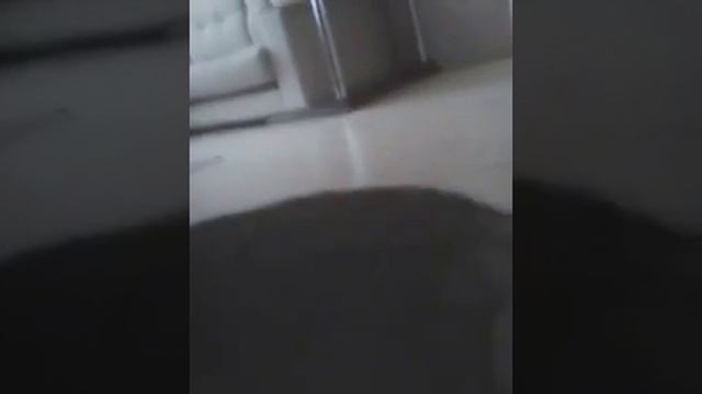 21 октября 2016 г. смотреть онлайн