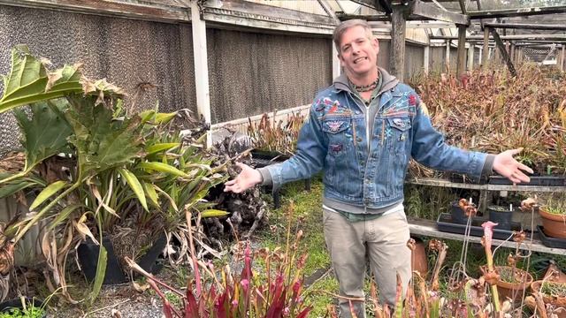 Winter Dormancy for Temperate Plants in Cold Climates смотреть онлайн