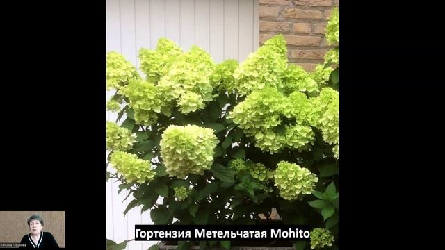 2023-03-03 смотреть онлайн