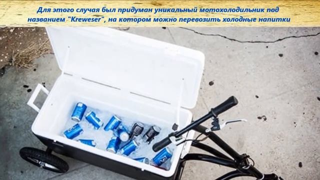 Бизнес идея для лета холодильник мотоцикл смотреть онлайн