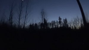 Охота на вальдшнепа весной 2021. эмоции через край