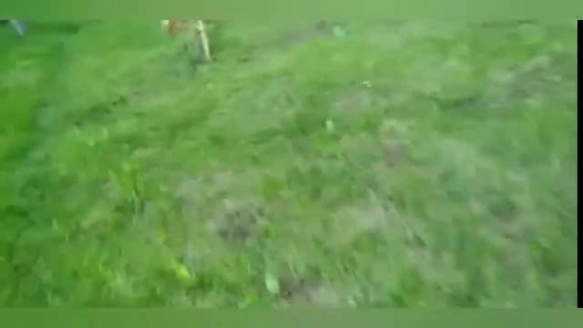 Прогулка смотреть онлайн