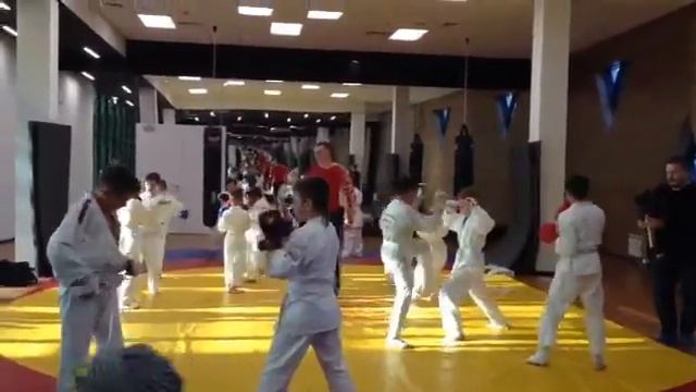 Детская тренировка по всестилевому каратэ смотреть онлайн
