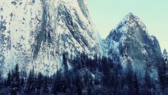 Зимний лес HD смотреть онлайн